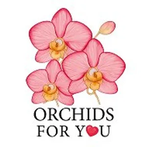 ORCHIDS FOR YOU 💞 Орхидеи - продажа