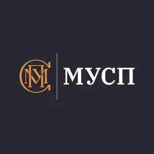 Команда поддержки МУСП