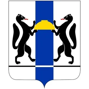 Поддержка для СВОих в НСО