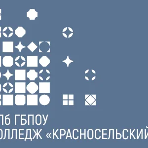 Колледж Красносельский