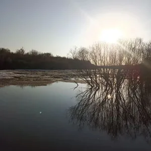 Луговская поселковая управа Тугулымского МО СО
