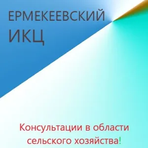 Ермекеевский ИКЦ