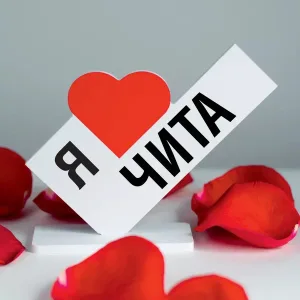 Чита новости
