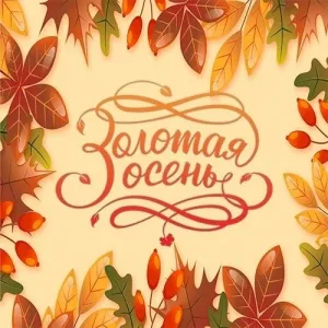 ГАУСО СО «КЦСОН «Золотая осень» города Нижний Тагил»