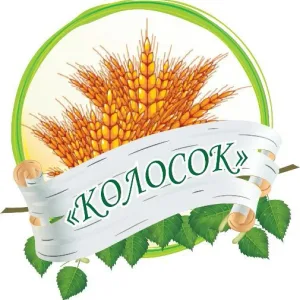 МБДОУ 6 Колосок