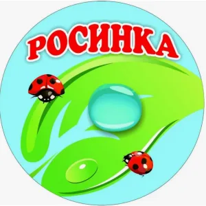 Муниципальное бюджетное дошкольное образовательное учреждение "Детский сад комбинированного вида №12 "Росинка" города Азнакаево Азнакаевского муниципального района Республики Татарстан