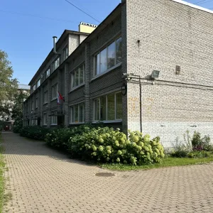 ГБДОУ детский сад №16 Василеостровского района
