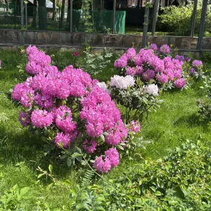 Детский сад 8 с. Корсаковка