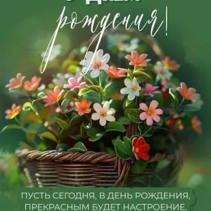 МБДОУ ДС "Лесная сказка" р.п. Чаадаевка