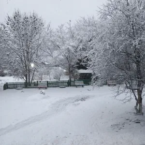 МОБУ Угловская СОШ