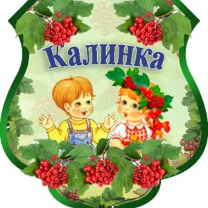 МБДОУ "Центр развития ребенка-детский сад №138"