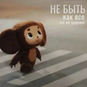Новости "Чебурашки"