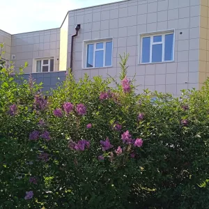 МБДОУ "Светлячок"