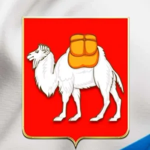 МИНИСТЕРСТВО ОБЩЕСТВЕННОЙ БЕЗОПАСНОСТИ ЧЕЛЯБИНСКОЙ ОБЛАСТИ