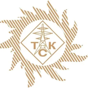 "Тамбовская сетевая компания"