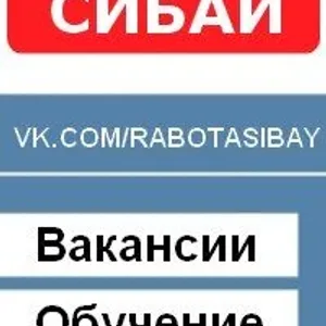 Работа Сибай