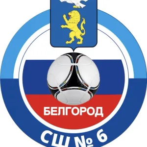 МБУДО СШ №6