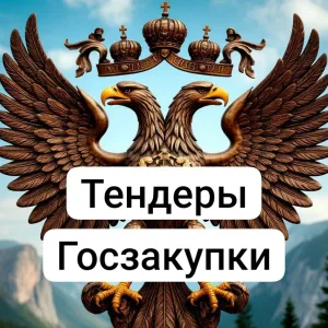 Тендеры госзакупки Евгений Цыганов
