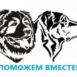 Поможем вместе 39