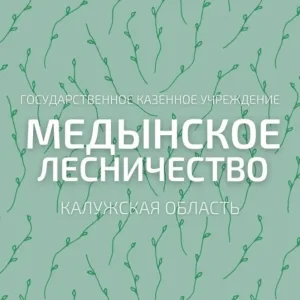 ГКУ КО "Медынское лесничество"