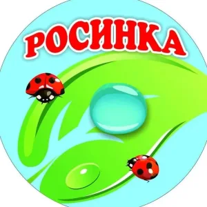МДОУ "Детский сад комбинированного вида №221 "Росинка"