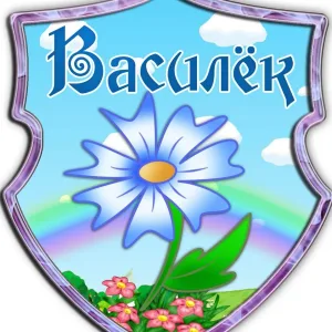 МАДОУ № 29 "Василек", п. Бобровский