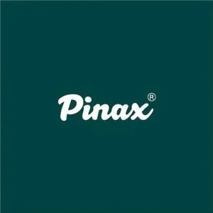 ТВОРЧЕСКОЕ СООБЩЕСТВО PINAX