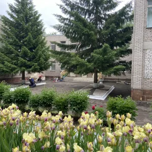 Детский сад № 22 город Нижнекамск