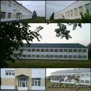 ГБОУ СОШ с. Новое Мансуркино