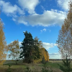 МБОУ «Пятовская СОШ»