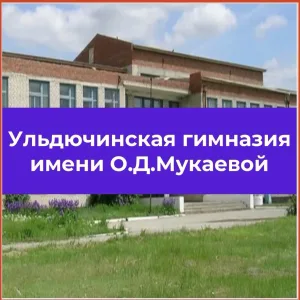 МКОУ "Ульдючинская СНГ им.О.Д.Мукаевой"