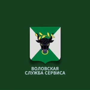 МУНИЦИПАЛЬНОЕ КАЗЕННОЕ УЧРЕЖДЕНИЕ "ВОЛОВСКАЯ СЛУЖБА СЕРВИСА"