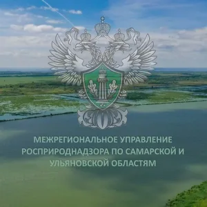 Межрегиональное управление Росприроднадзора по Самарской и Ульяновской областям
