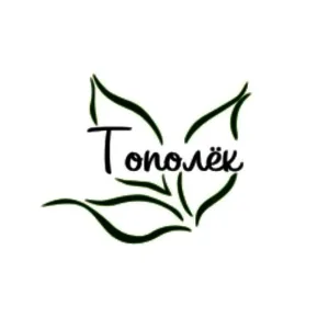 МКДОУ Чулымский детский сад "Тополек"