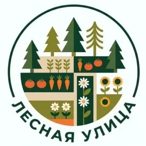 Лесная Улица