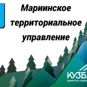 Мариинское ТУ Мариинского муниципального округа