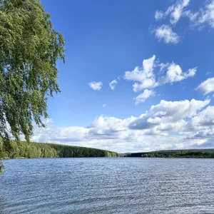 ООО "Коммунэнерго"